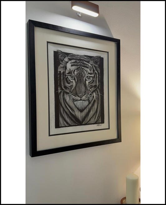 The fearless regal tiger